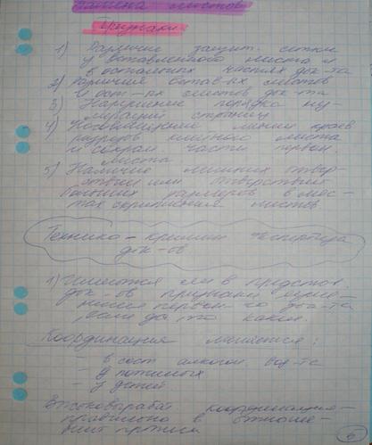 P1010442.JPG