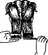 http://all-about-hairs.ru/lib/book/book0043-3.png