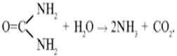 : no23_01.gif